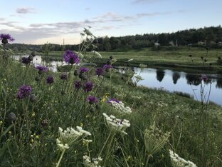 Рыбалка