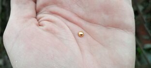 Достаём драг. металл из радиодеталей!