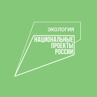 Национальный проект «Экология»
