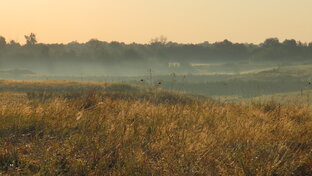 У истока степной речки