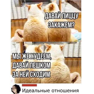 Мужчины и женщины 