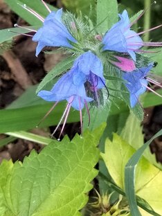 Стихи Андрея дементьева