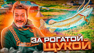 Проект "К рыбакам!"