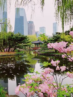 Немного о Корее