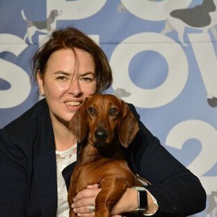 Выставки. Шоу. Собачья жизнь