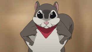 Белка упоротая