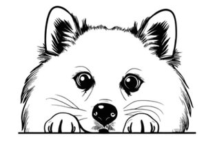 Рубрика о полезном