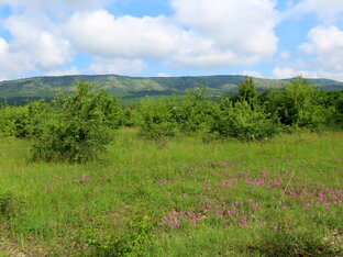 Старый Крым