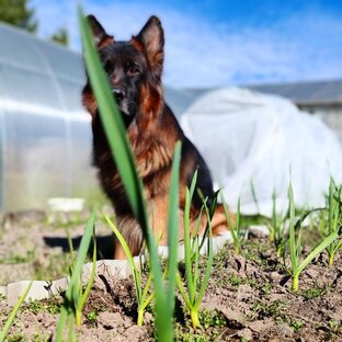 Истории из жизни