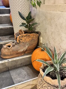 Осень🍂