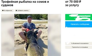 Необычные товары и услуги