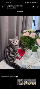 Распаковка 