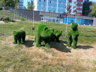 История моего края