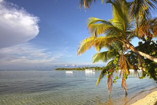 Северная Америка