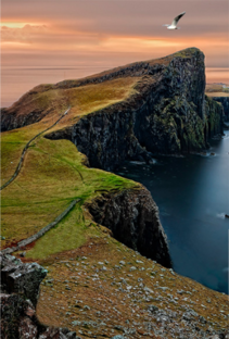 стишки не о чем