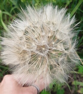 Место для отзывов в комментариях