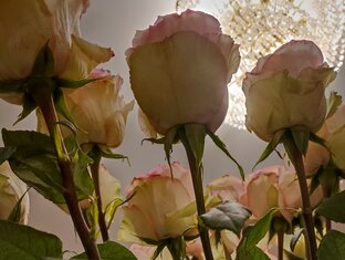 Отношения с друзьями 