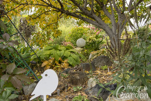 Прогулки по саду