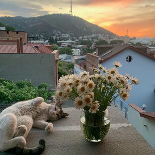 Про Тбилиси