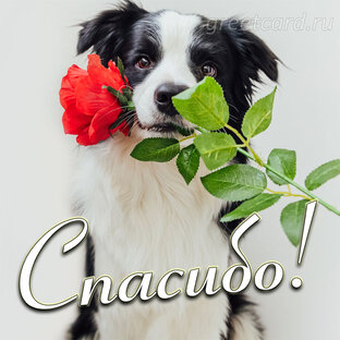 ЗАКРЫТЫЕ СБОРЫ