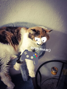 Симка и игры