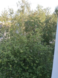 Создаю лучшую версию себя для улучшения качества своей жизни 