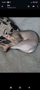 Смешные видео ролики