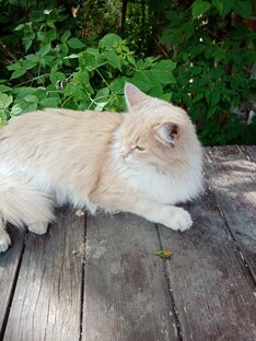 Моя жизнь. Зарисовки из жизни. 