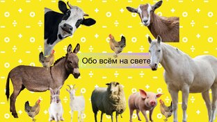 Тутти- Фрутти