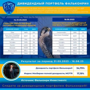 Дивидендный портфель Фальконри®