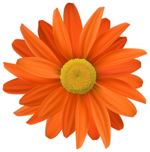 Оформление класса