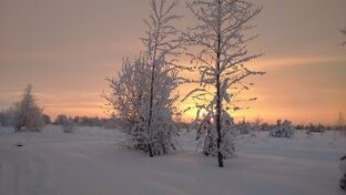 Мои соседи...