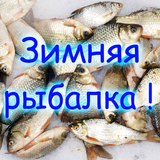 Рыбалка зимой !