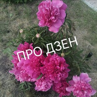 Развитие канала, доход 