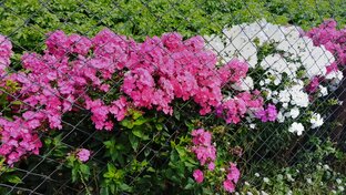 Развивающие игры. 