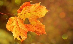 Пиар каналов