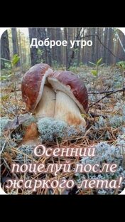 Растения Кубани
