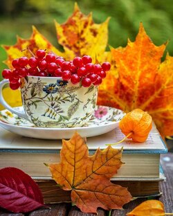 Осень наступила