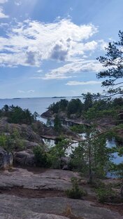 Карелия-зеленый океан 💚