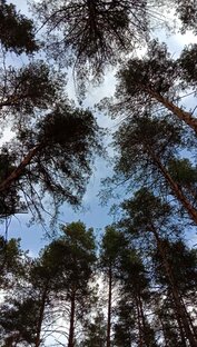 Я тоже теперь городская. 2 часть сборника "Дом с голубыми наличниками"