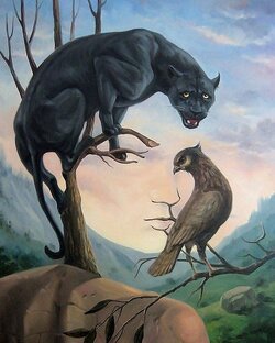 Животный мир 🌏