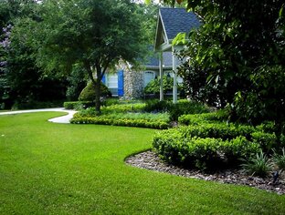 Все о газонах 