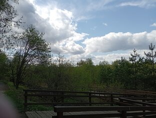 Весна 🌱пришла