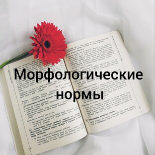 Морфологические нормы