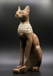 История кошек