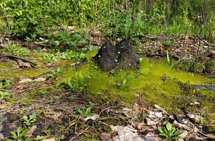 Наши путешествия