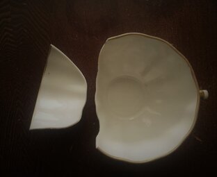 Даю консультации о...