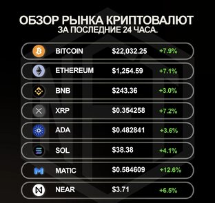 Обзор популярных криптовалют за последние 24 часа