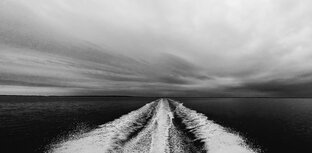 Разное о природе