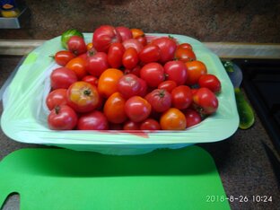 Рецепты (домашний влог)